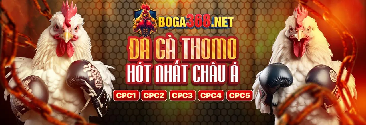 Tin tức và cập nhật Q88 Game